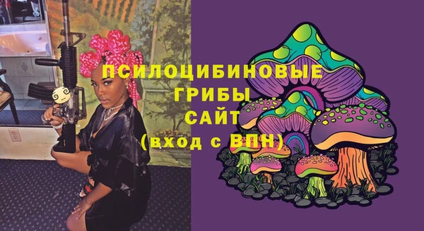 экстази Белокуриха