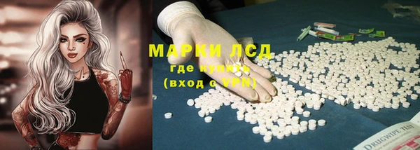 прущие грибы Балабаново