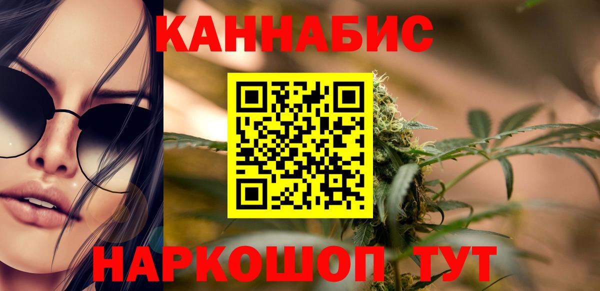 Каннабис планчик Кубинка